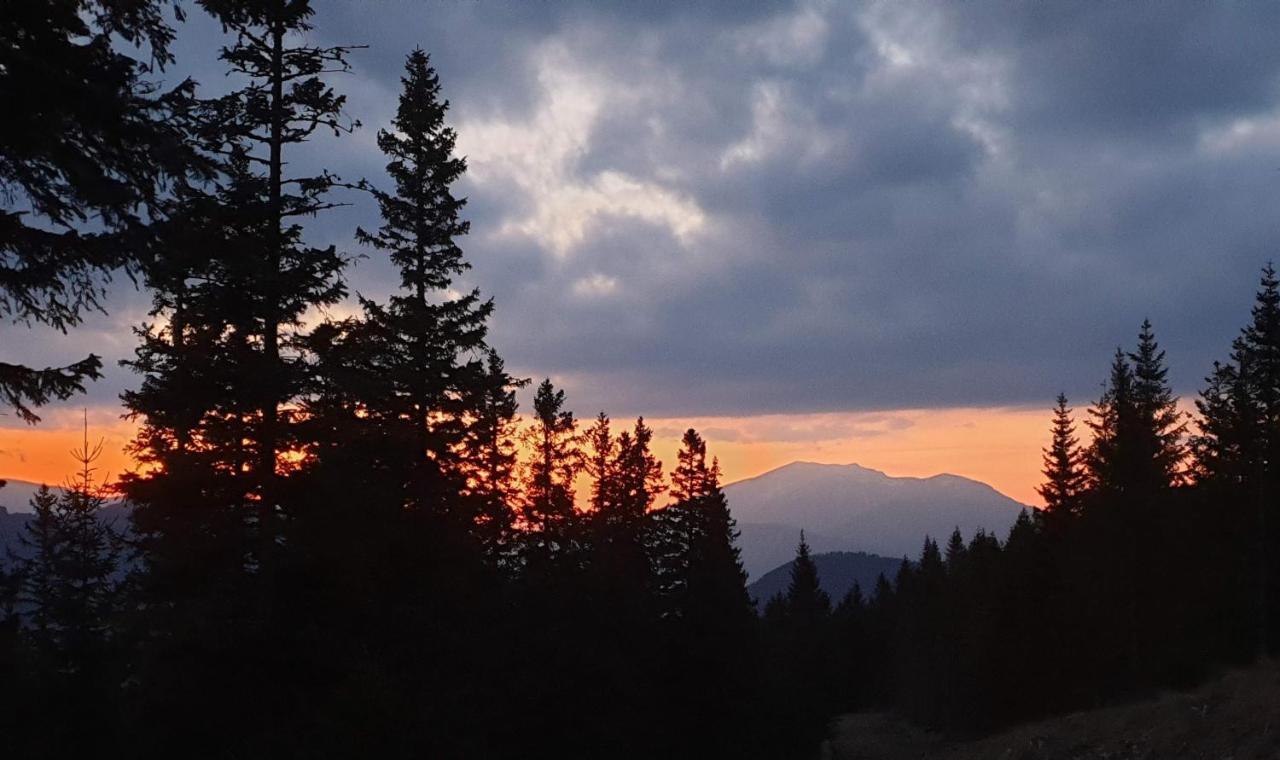 Hubertushof Hotel Trattenbach  ภายนอก รูปภาพ
