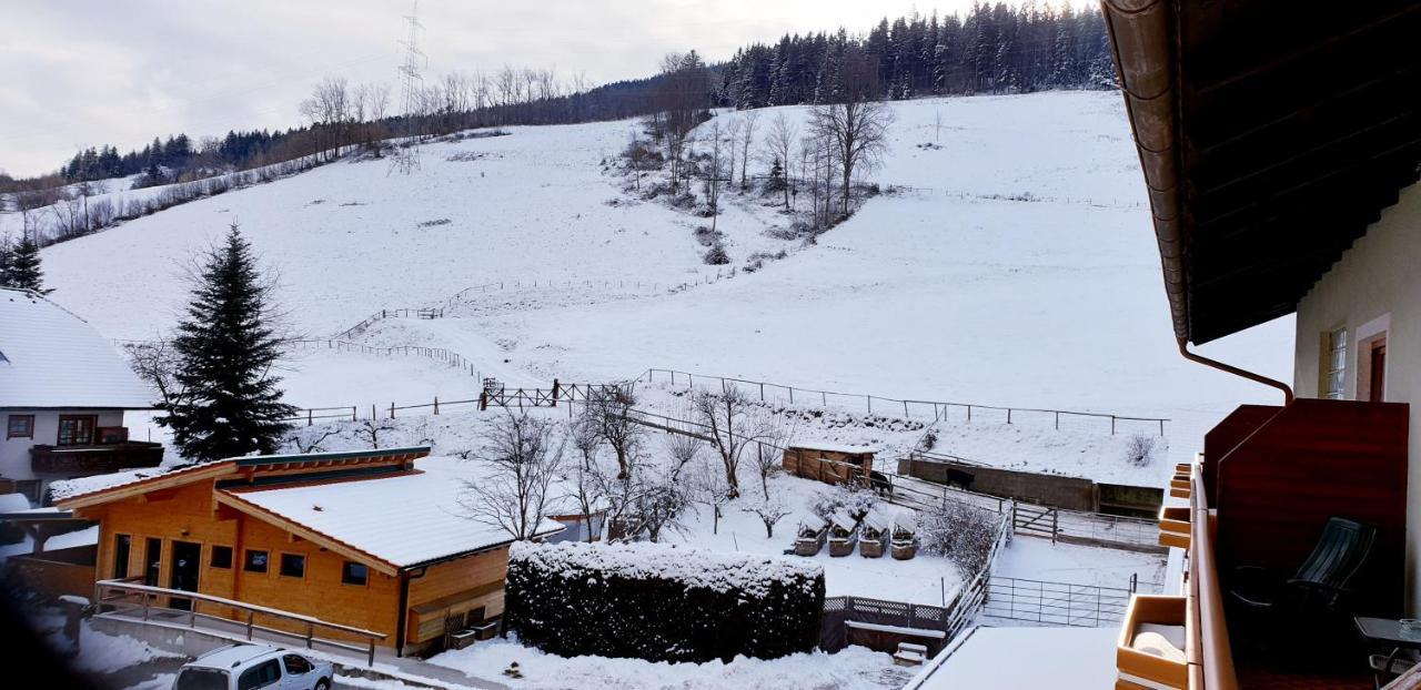 Hubertushof Hotel Trattenbach  ภายนอก รูปภาพ