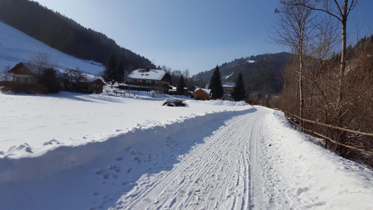 Hubertushof Hotel Trattenbach  ภายนอก รูปภาพ