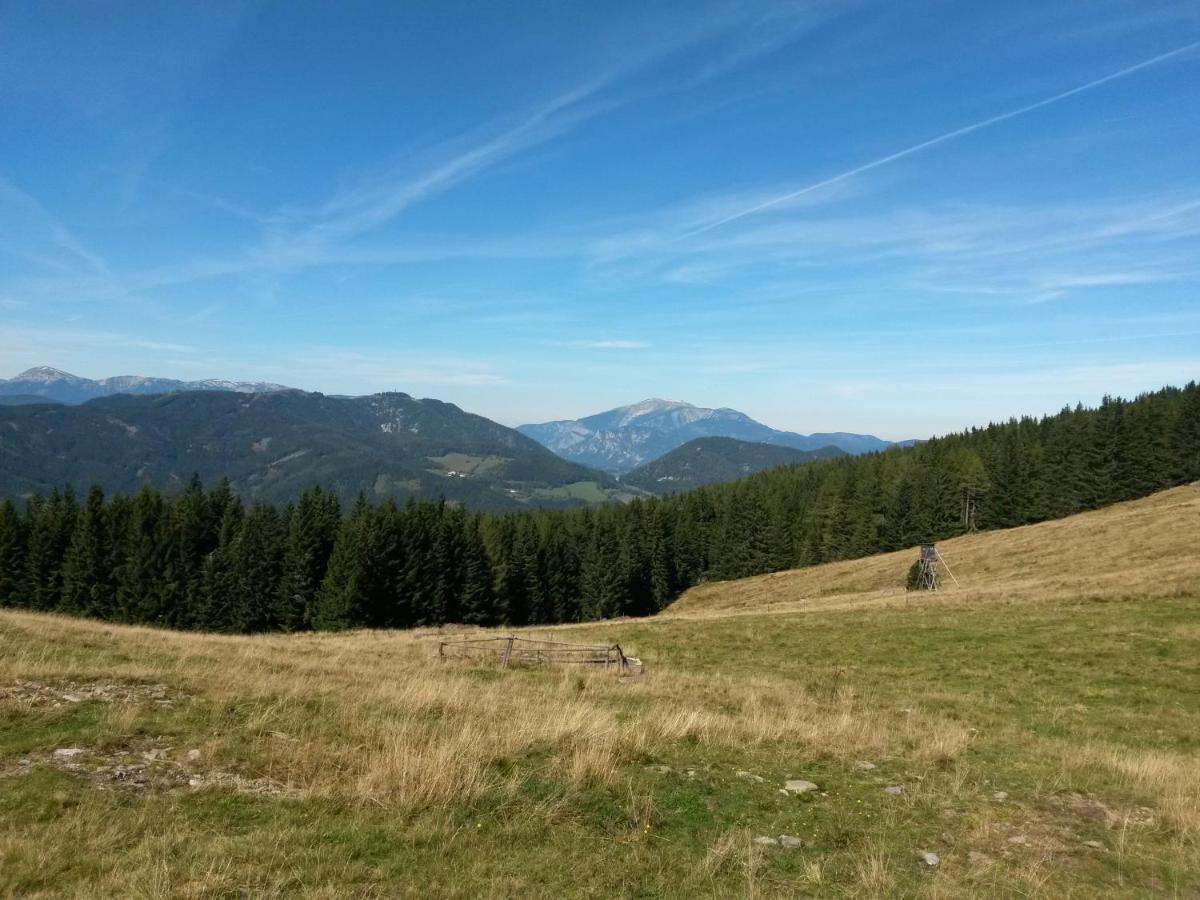 Hubertushof Hotel Trattenbach  ภายนอก รูปภาพ