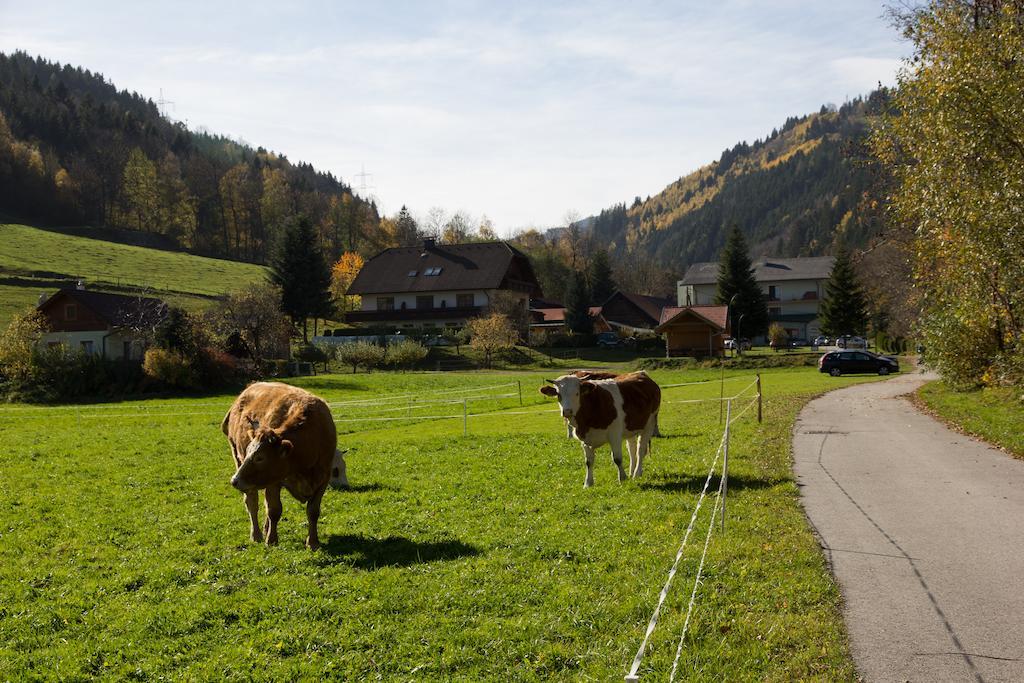 Hubertushof Hotel Trattenbach  ภายนอก รูปภาพ